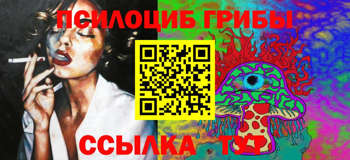 Псилоцибиновые грибы мицелий Ливны