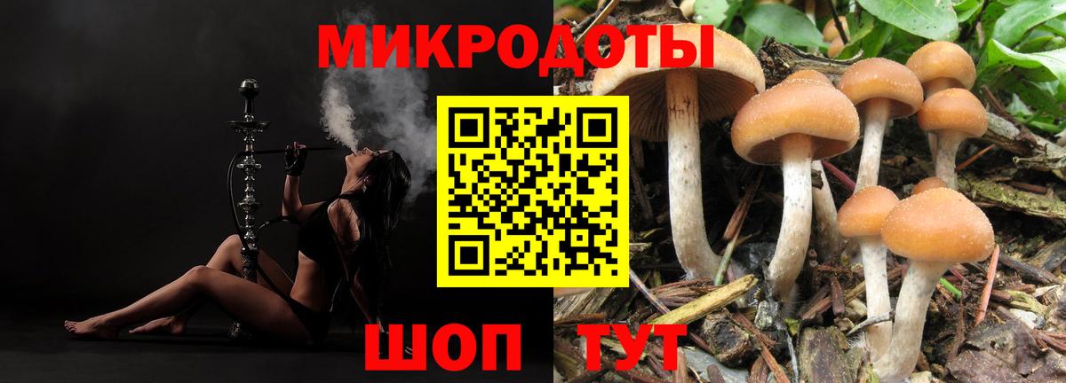 A PVP Ливны