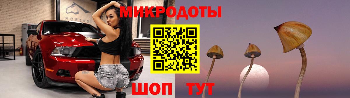 Ливны  Галлюциногенные грибы мицелий  Псилоцибиновые грибы Psilocybe  Вход с VPN 